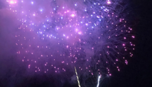 BrainFIT Blog Neurorevolution
