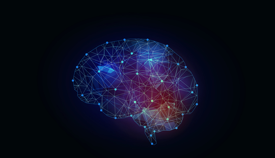 Brainfit Institute Blog Announcement